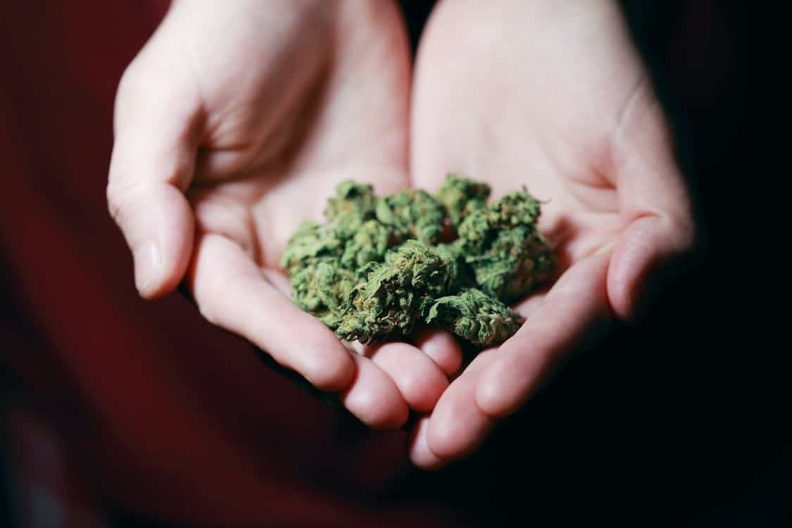 invertir en cannabis